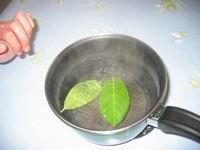On plonge la feuille d.. Ecoles du Monde - 